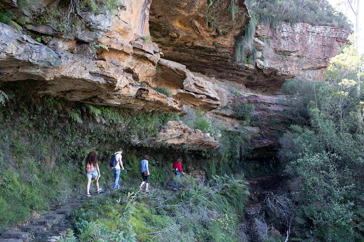 Blue Mountains Nature And Wildlife Day Tour From Sydney - Inverell Accommodation
